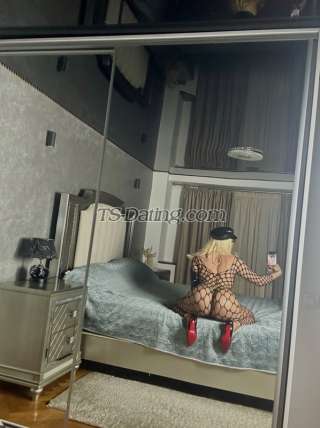 trans girl barby26 6593960 trans girl barby26 6593960