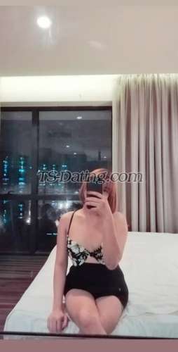 trans girl beautiful24 4543621