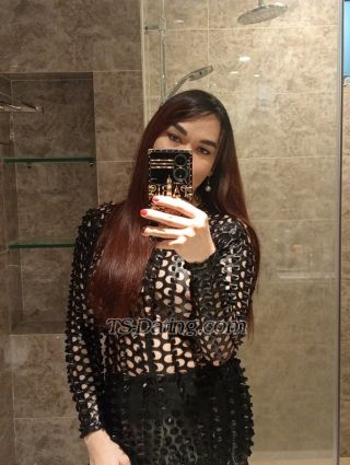 trans girl beautiful24 7342039