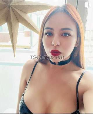 trans girl bella769 5759806