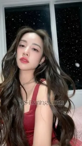 Shemale bellajelo99 5648920 Shemale bellajelo99 5648920