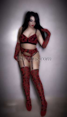 trans girl bombaCat 5096403