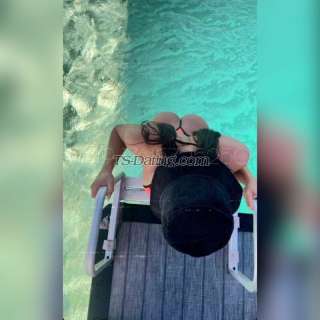 trans girl CAMILALEON 6513818 trans girl CAMILALEON 6513818