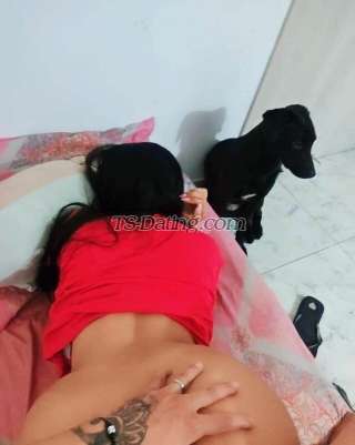 trans girl CAMILALEON 7027331 trans girl CAMILALEON 7027331