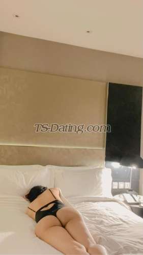 trans girl CHELSEY82000 3392760 trans girl CHELSEY82000 3392760