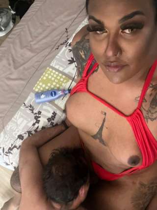 COQUINEALINE 6127384