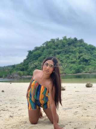 trans girl Calista 7834506 trans girl Calista 7834506