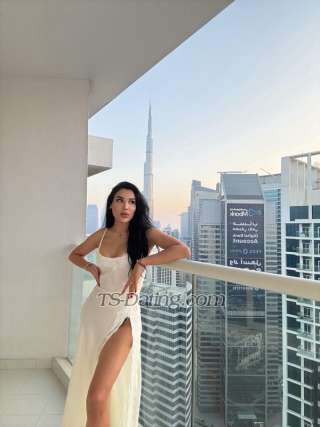 trans girl CamilaElegant 8877691 trans girl CamilaElegant 8877691