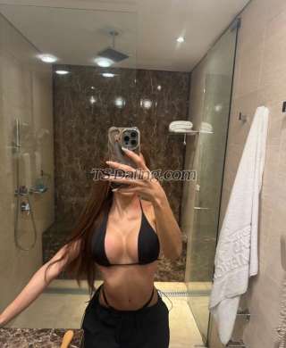 trans girl Camilabzts 8697111