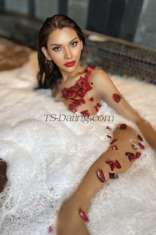 Camillayummy Bangkok Transex Gentlemen your dreams girl here , I’m here for a private,
limited engagement.❤️‍🔥CLASSY MODEL HERE
AVAILABLE ❤️‍🔥⭐️✨I am available for an
exclusive arrangement at this time. Kindly message me to
proceed, and we can schedule a short video call in advance
for mutual verification prior to meeting. I look forward to
hearing from you. ⭐️✨My name is Camilla. I’m a
model  I’m mixed haft Thai haft British , If you're
looking for an unforgettable encounter with a stunning,
super sexy I am a sweet Bottom and mostly I can be your hard
rock cock Top , sweetheart looking good girl ! As a
passionate and caring girl, you'll be delighted by my
sensual aura and affinity for intimate pleasures. I'm
super hot ... with big boobs and nice tits sexy cures with
sexy ass and Fresh young lady look same as picture 100%
I am available for Spending time with You will be an
unforgettable experience, one that u would want that !! Can
ask more pic of me!!! 🍆🍆🍆💦💦💦📍line
ID : fairycamil 📍📍WhatsApp :
+66813252456📍📍telegram :
@ohmmy11📍📍WeChat : Ohmmy-66 📍 