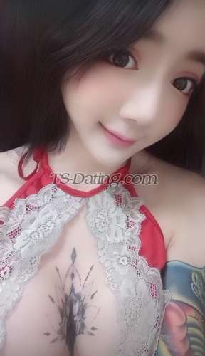 trans girl CandyQiaoqia 4267344