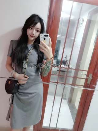 trans girl CandyQiaoqia 4267456