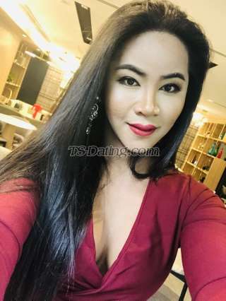 trans girl Candydy 8062619 trans girl Candydy 8062619