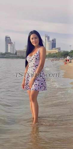 trans girl Candylove69 1801471 trans girl Candylove69 1801471