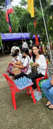 trans girl CandyloveTH 3129822 trans girl CandyloveTH 3129822