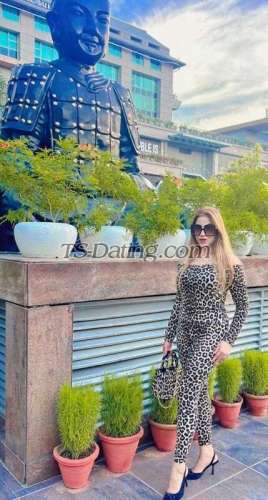 trans girl Candyshama 8552487 trans girl Candyshama 8552487