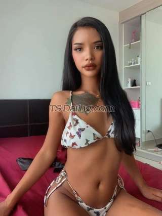 trans girl Candythai11 8006540 trans girl Candythai11 8006540