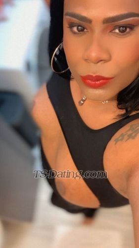 trans girl Canella22cm 8884980 trans girl Canella22cm 8884980