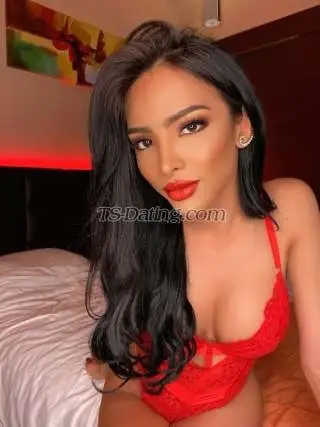 Shemale Carasins 6161604 Shemale Carasins 6161604