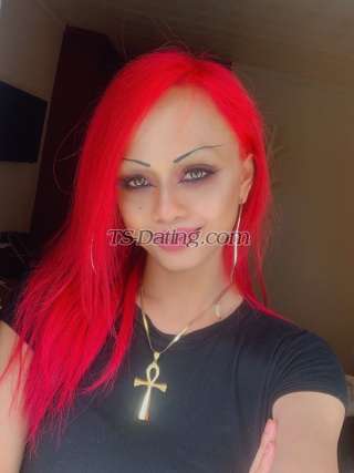 trans girl Carezy 5003601 trans girl Carezy 5003601