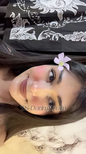 trans girl Carla009 8518579 trans girl Carla009 8518579