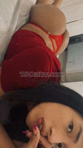 trans girl CarlaPalomi 5010739 trans girl CarlaPalomi 5010739