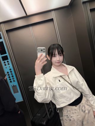 trans girl Carmenxx 8084146 trans girl Carmenxx 8084146