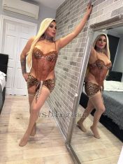 CarolDelavega London Transex https://onlyfans.com/caroldelavega ¡¡¡LAS 11 PULGADAS MÁS ALTAS SIEMPRE SON DIFÍCILES!!! :) Hola chicos, soy Carol Delavega de Brasil. Travesti de clase alta muy caliente. Si buscas un verdadero servicio con el máximo placer, soy lo que buscas!! Conmigo experimentarás lo que nunca antes tuviste. Con una enorme y hermosa sorpresa entre mis piernas solo para ti. Todas mis fotos en mis anuncios son 100% reales y verificadas. Soy muy activo, me encanta dominar la situación, si buscas una chica muy activa con una pistola reudge, ven a pasar un rato conmigo. Me encanta tener sexo, soy genuina y me encanta pasar tiempo con una persona verdaderamente pasiva si buscas a alguien como yo. Ven a verme cariño. (11 pulgadas) Polla grande