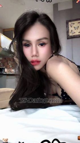 trans girl Carolline 0248768 trans girl Carolline 0248768