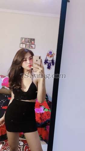 trans girl Carolline 4074876 trans girl Carolline 4074876