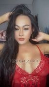Casandraaa Bali Transex Are you Ready want to have good time with the hottest dan super horny ladyboy ?
It’s me the one and only sexiest ladyboy, Ready to rock you fantasy and give you something special you've never felt before!
I have Good personality, Good attitude, and of course very Good service & will make you enjoy and Rilex, Couse I will do anything what you want to make you feel satisfied and make you dream come true in the bed !
I am VERSATILE, I can be strong/hard TOP with my 6,5inch Dick & I can be very sweet BOTTOM for you with my nice as !
And if you want more enjoy, of course we can play with toys to and use POOPER'S, to make you feel more Super Horny & Super Naughty !
I Promise : my picture is 100% Real.
_____ What You See What Get _____
so what you waiting for & Stop for serching !
Just Let's meet in real and spend your money with the right LadyBoy who will make you Holiday beautifull effective and you will never forget … LOVE FROM ME ….
