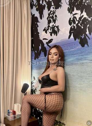 trans girl Marshall4u 3154017 trans girl Marshall4u 3154017