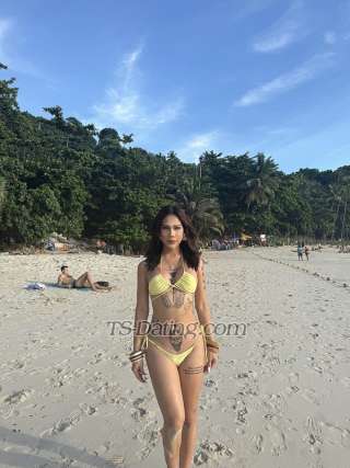 trans girl Cat2544 8542895