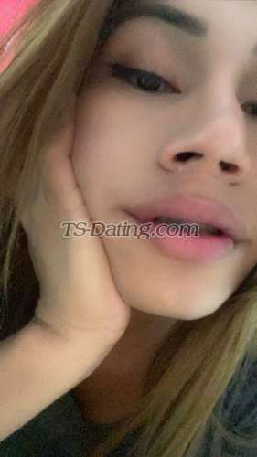 trans girl CatalinaDulc 5874901 trans girl CatalinaDulc 5874901