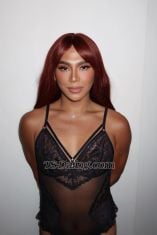 CdAnorah Central Transex 🌹 CD Anora – Your new face fantasy 🌹

I am Anora, a stunning young CD beauty freshly arrived in Hong Kong✨ With youthful glow, captivating curves, and an irresistible charm, I offers the ultimate experience for those seeking passion, fun, and unforgettable intimacy.

💋 Services & Style:
	•	Full service – both sensual GFE & wild PSE
	•	Versatile: top & bottom (smooth & playful)
	•	Party & play friendly 🎉
	•	Relaxed, down-to-earth, but always seductive
	•	Classy companion for dates or private indulgence

I am rare mix of elegance and fire — whether you’re craving a slow, sensual experience or a wild night of passion, she knows how to create the perfect vibe. Her energy is fresh, her body is flawless, and her company will leave you addicted.

✨ Don’t miss the chance to meet Hong Kong newest CD fantasy — Anora.