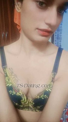 trans girl Chahatqueen 4291634 trans girl Chahatqueen 4291634