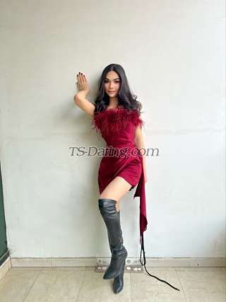trans girl Champagne199 2601760 trans girl Champagne199 2601760