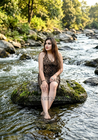 trans girl Chandni20455 5026874