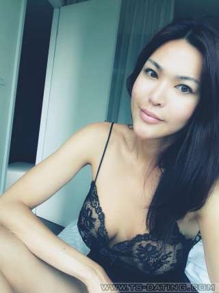 trans girl Chanelgoddes 7408510 trans girl Chanelgoddes 7408510