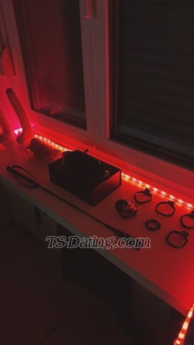 trans girl CharlyDrager 5367561