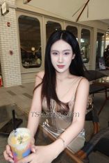 Cheetar Bangkok Transex Hello Sawadee ka 🙏🏻I’m cara 23y. 174cm/57kg
🧚🏻‍♀️I’m student in BKK ✨📍From
Thailand 🇹🇭Glad to meet you.
🙌🏻✅I’m have good service 100% ✅Hi
class and safe 100%*HAVE CODOM OLNY*⛔️*SUCK ,
I AM BOTH *⛔️🍆 I want to CUM A LOT with you
💦We can have amazing time together 🤩✨We
can drink together party 🥂🍾🎉⛔️📌I am not
send naked or nude pics 📌⛔️💌 LINE ID :
shtarkr https://line.me/ti/p/723qXbDZ86💌 WeChat
ID : shtarkr123💌 WhatsApp :
‪+66 93 263 1923‬💌 IG :
cara.cheetar💌Telegram : @caracheetarSee you
🤫🫣