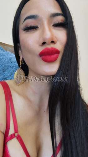 trans girl CherryLee 3342212