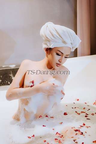 trans girl CherryTran 2830568 trans girl CherryTran 2830568