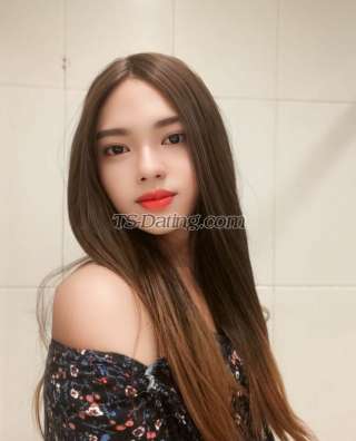 trans girl Chrishaya 7228911 trans girl Chrishaya 7228911