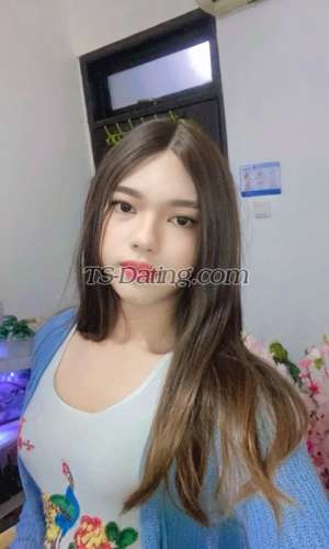 trans girl Chrisstineu 4809810 trans girl Chrisstineu 4809810