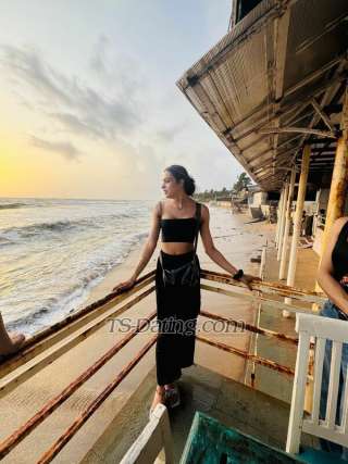 trans girl Christysexy 0847250 trans girl Christysexy 0847250