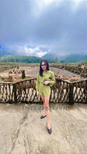 trans girl Ciciamoy 4144373 trans girl Ciciamoy 4144373