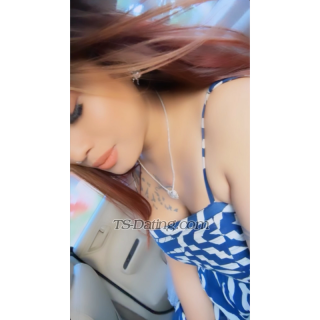 Shemale Cindrella13 1579098 Shemale Cindrella13 1579098