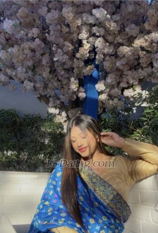 trans girl Cindrella13 2165976