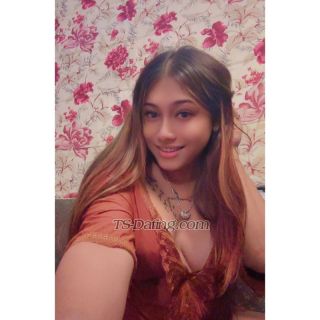 trans girl Cindrella13 6531138 trans girl Cindrella13 6531138